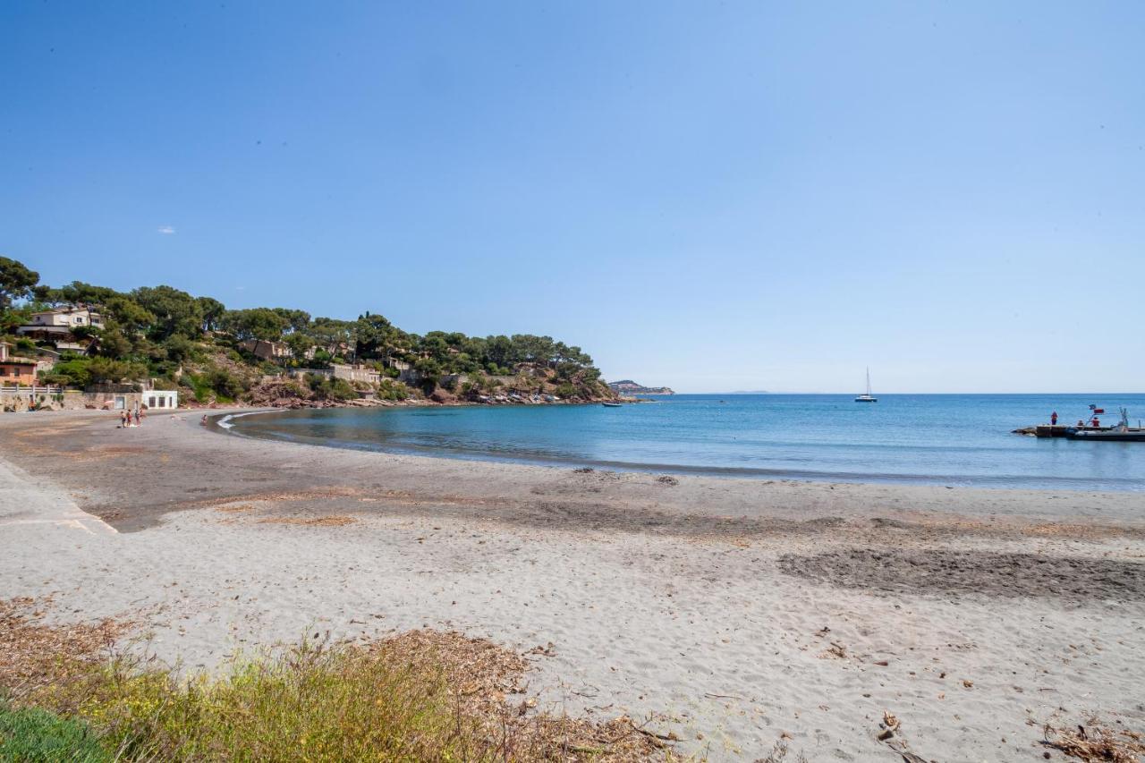 T2 - La Seyne Sur Mer - Fabregas Buitenkant foto