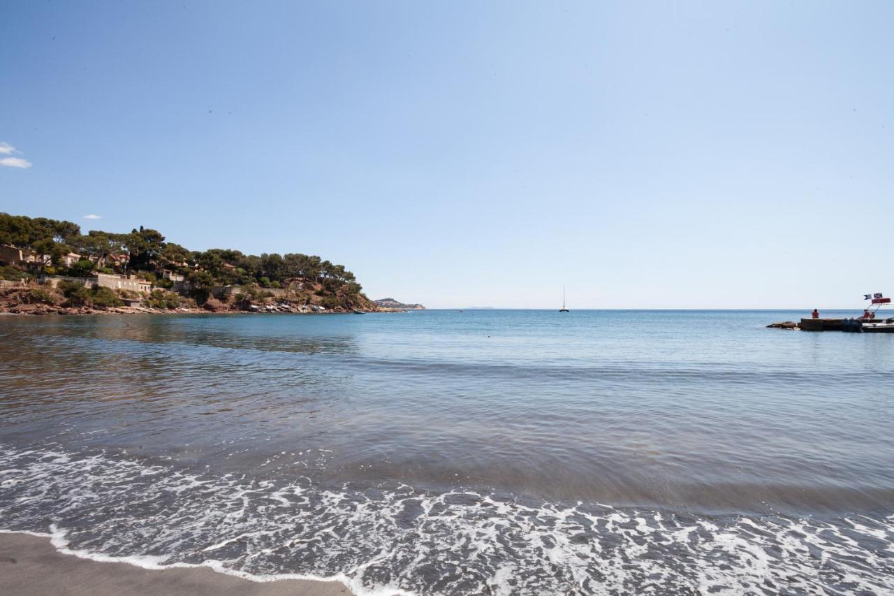 T2 - La Seyne Sur Mer - Fabregas Buitenkant foto