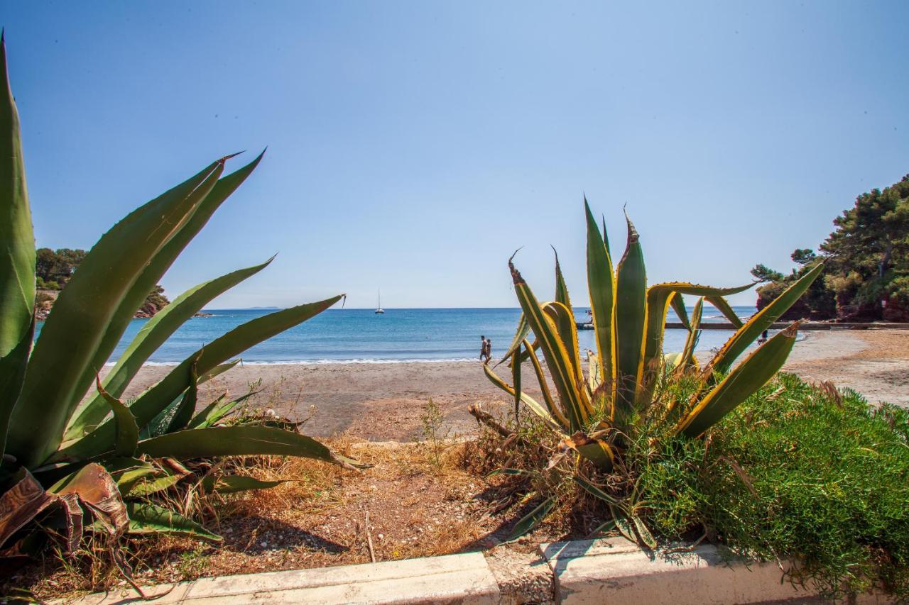 T2 - La Seyne Sur Mer - Fabregas Buitenkant foto